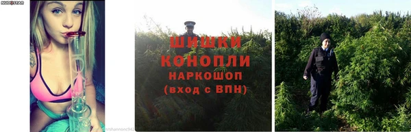 MESCALINE Богородицк