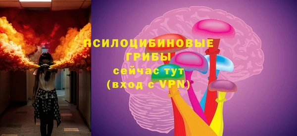 гашик Богородск