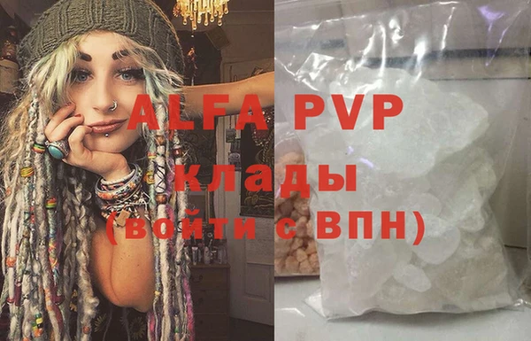 прущие грибы Беломорск