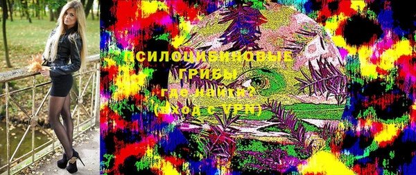 прущие грибы Беломорск
