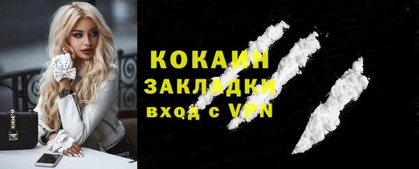прущие грибы Беломорск