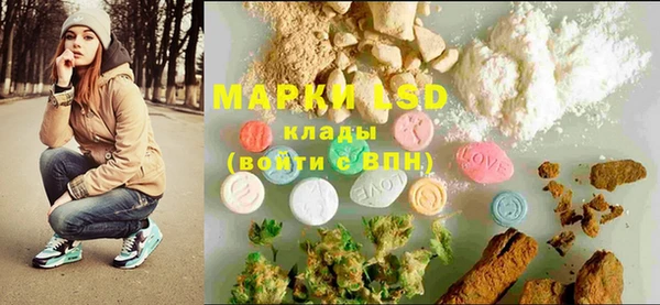 ECSTASY Белокуриха