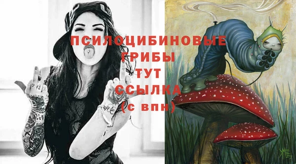 ECSTASY Белокуриха