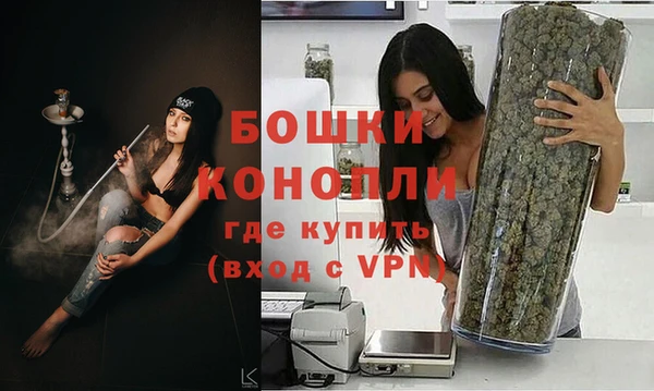 гашик Богородск